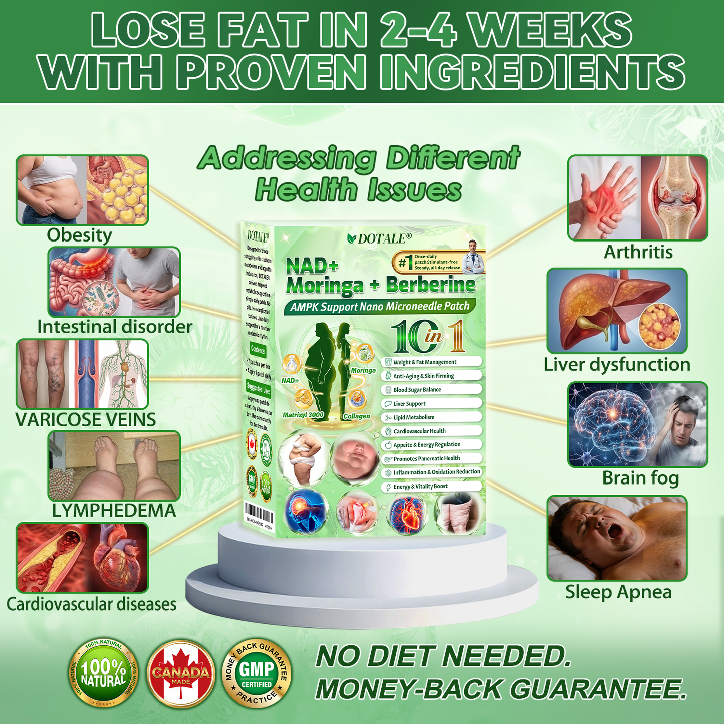 DOTALE® NAD+ Moringa Berberine AMPK Support Nano Microneedle Patch, Formula ✅Supports metabolism, weight management, heart health, obesity, loose skin, diabetes, sleep apnea, joint issues, and more