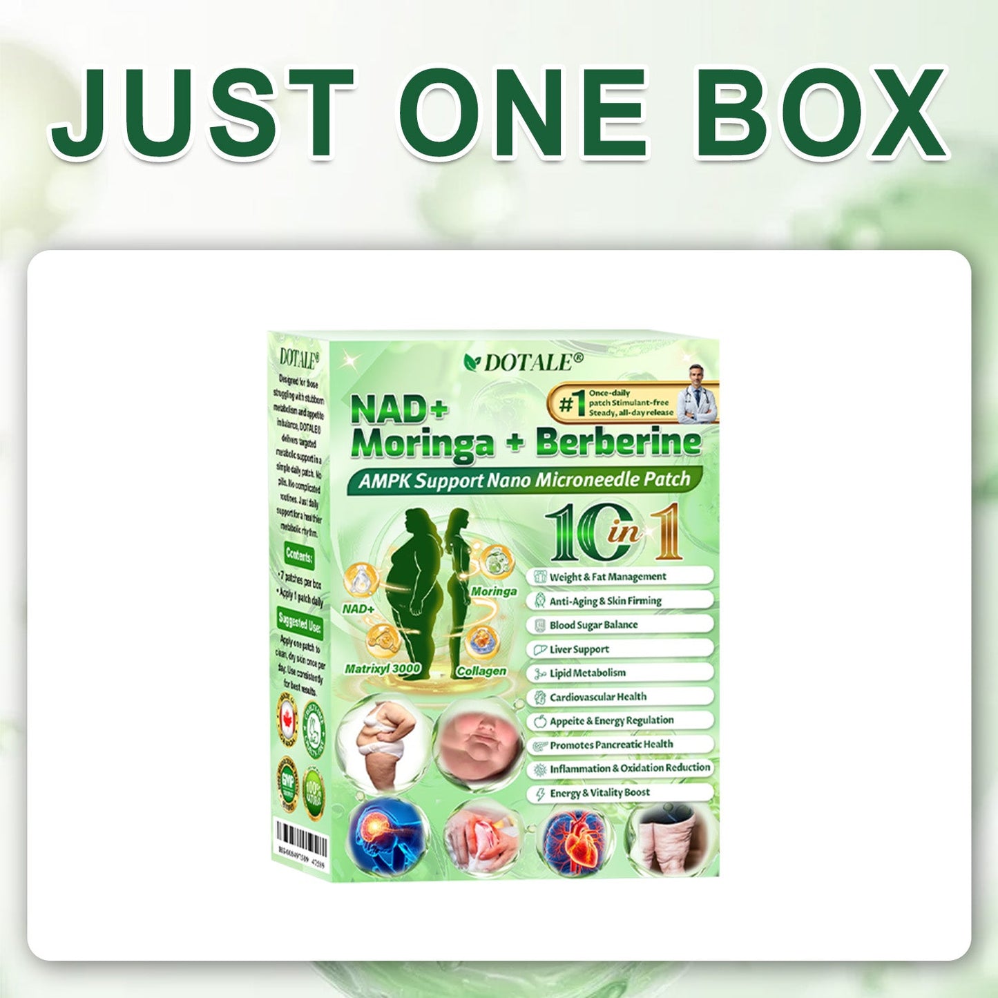DOTALE® NAD+ Moringa Berberine AMPK Support Nano Microneedle Patch, Formula ✅Supports metabolism, weight management, heart health, obesity, loose skin, diabetes, sleep apnea, joint issues, and more
